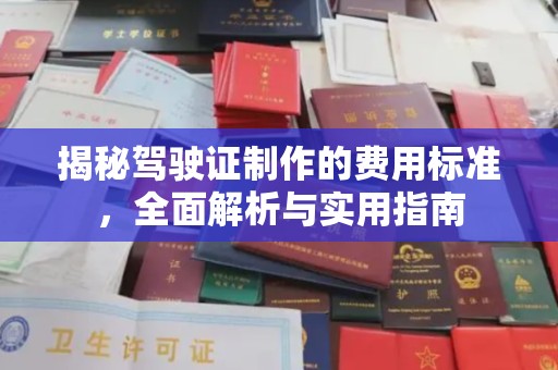 苍梧揭秘驾驶证制作的费用标准，全面解析与实用指南